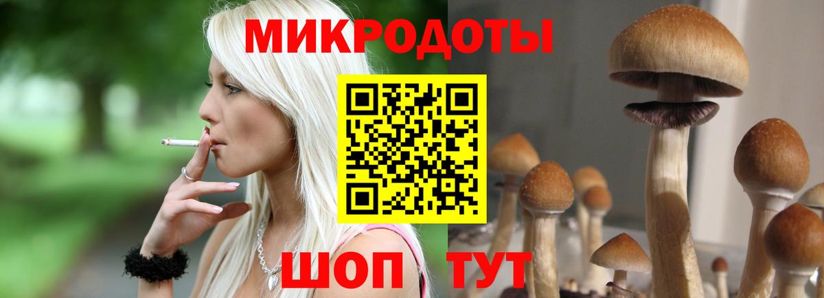 Коммунар  Галлюциногенные грибы Psilocybe  Галлюциногенные грибы прущие грибы  Вход с VPN 