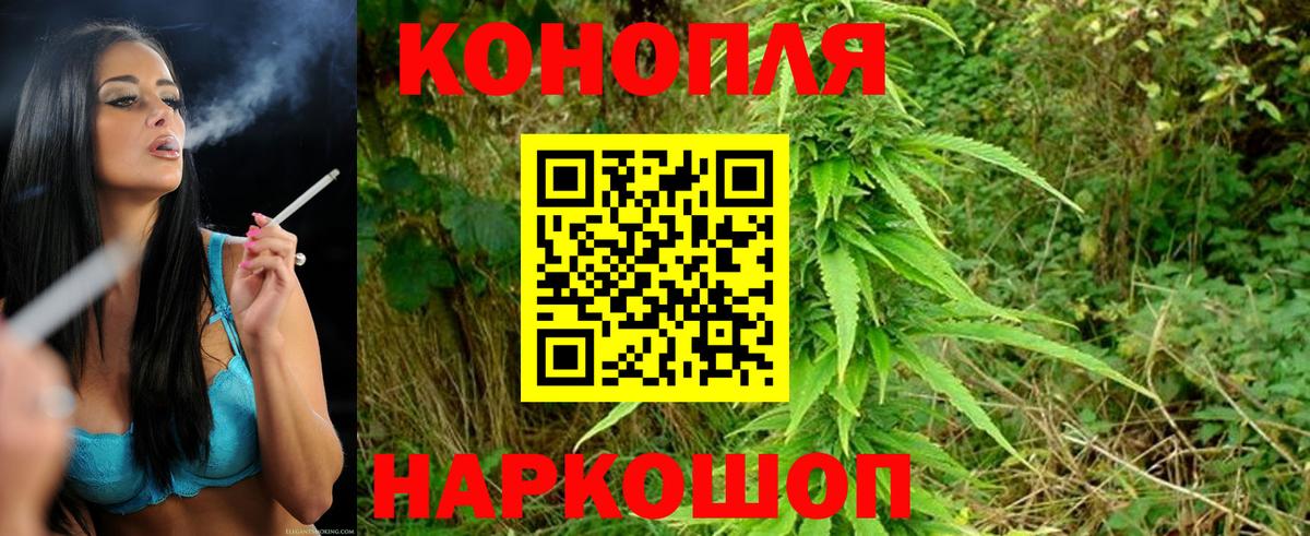 Бошки марихуана AK-47  Каннабис план  Канабис Amnesia  Вход с VPN  Коммунар 